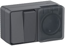 Блок накладной Systeme Electric AtlasDesign Profi54 розетка 1-м.+выключатель 2-кл. IP54 антрацит картинка